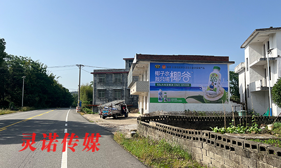 乡镇广告投放技巧|墙体喷绘三大核心,助品牌少走弯路